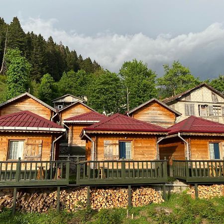 Pilita Bungalov&Rest Ayder Yaylasi Esterno foto