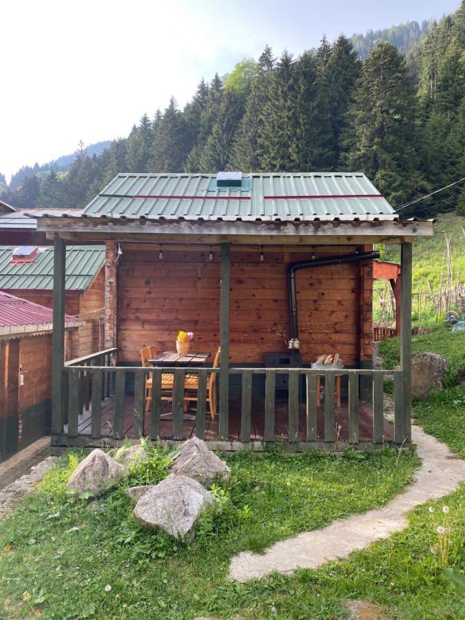 Pilita Bungalov&Rest Ayder Yaylasi Esterno foto
