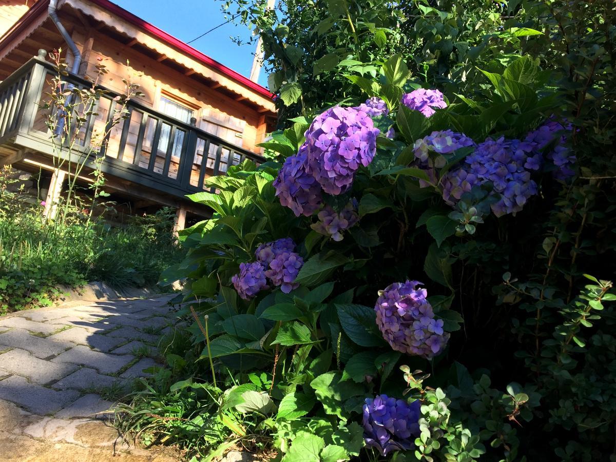 Pilita Bungalov&Rest Ayder Yaylasi Esterno foto